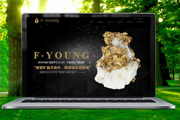 ��֥�������ﱦʯ